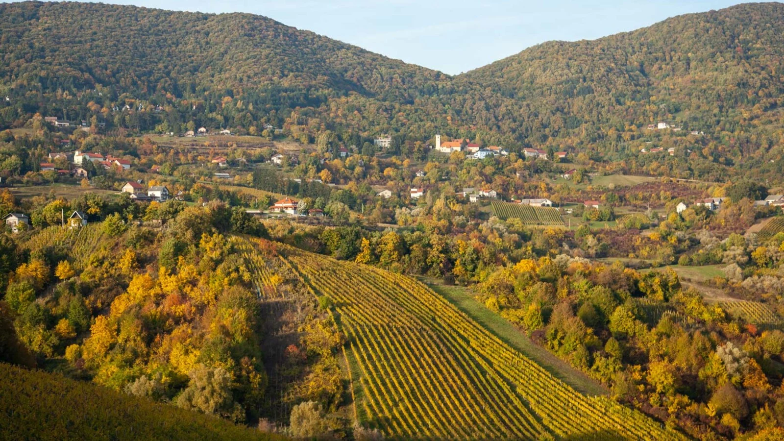 Bijeg u vinski kraj: Plešivica kao savršena jesenska destinacija